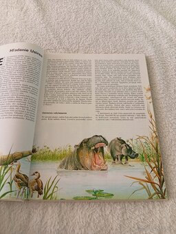 Mýty a legendy Egypt,Grécko,Galia - 2