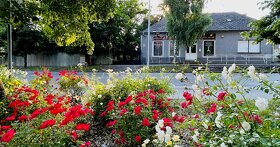 Na predaj MEŠTIANSKY DOM aj PREDAJŇA na pozemku 4349 m2 . - 2