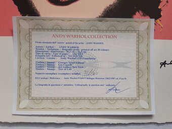 Andy Warhol – Marylin Monroe Pink - 2