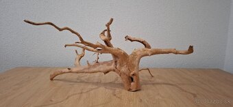 Koren red moor wood - 2