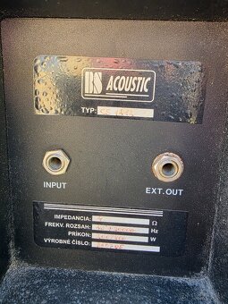 12" Bedne BS Acoustic + RH Sound - 2