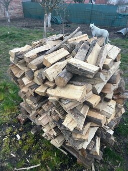 Palivové drevo - 2
