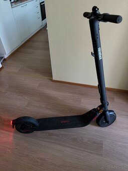Ninebot by Segway KickScooter E25E - 2