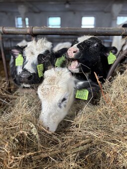 Zoberiem do prenájmu ornú pôdu,TPP - 2