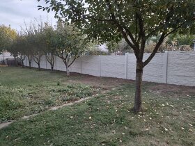 Betónový plot - 2