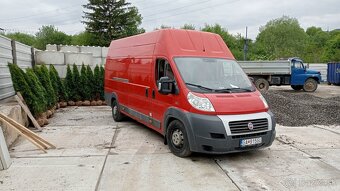 Tuja Smaragd, vavrínovec, červienka - Spišská Nová Ves - 2