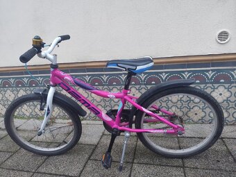 Detský dievčenský bicykel Dema 20 - 2
