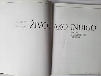 Život ako Indigo - Lilgovci v slovenských dejinách - 2