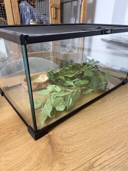 Terárium + príslušenstvo - 2