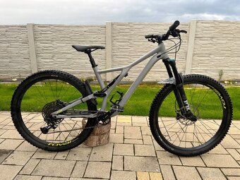 Specialized stumpjumper FSR - 2