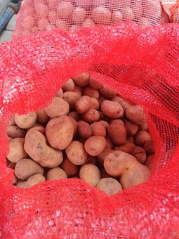 Predám krmné zemiaky - 2