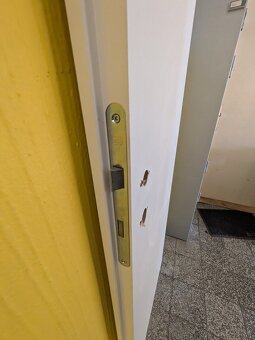 Dvere ľavé 60 cm - 2