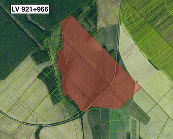 Slanské Nové Mesto – Podiely na ornej pôde - 2
