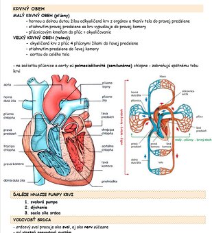 Maturita chémia, biológia, fyzika - 2
