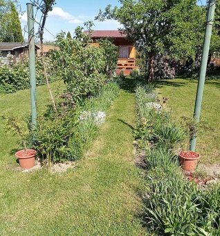 Záhrada s chatkou – Kolónia Hviezda, Martin (281 m2) - 2