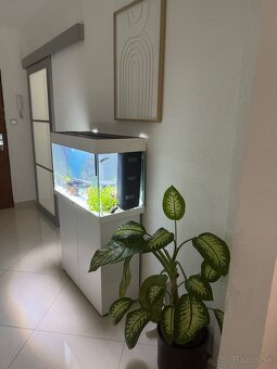 Akvarium - 2