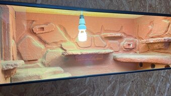Ručne robené terárium 110x50x60 - 2