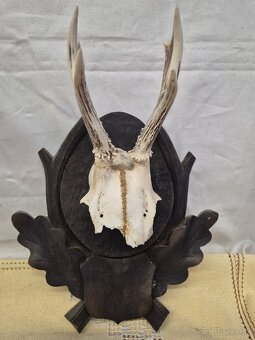 Predam parozky a kly - 2