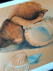 Obraz - Akvarel - umelecké dielo - Mušle - shells - 2