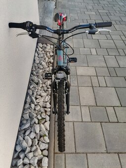 Detský bicykel 24" CTM Berry 2.0 - 2