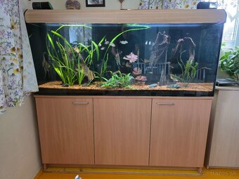 Akvárium 450L Diversa + skrinka + filter + JBL UV lampa + - 2
