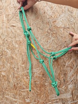 Shetty/Pony - 2