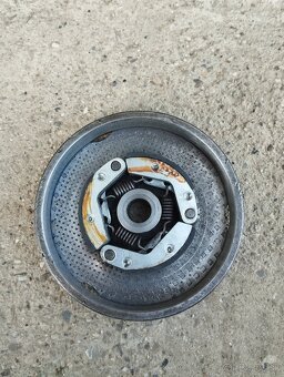 Diely Simson, babetta - 2