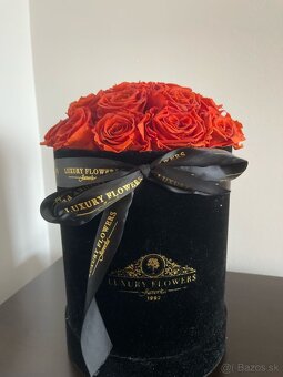 Trvácne ruže v boxe 23ks - červená - 2