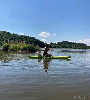 Paddleboard aquatone wave - 2