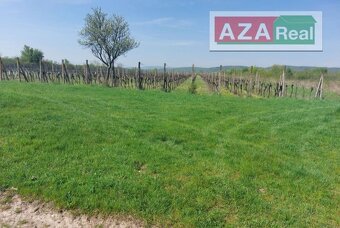 Vinica v Modre je na predaj-5739m2 - 2