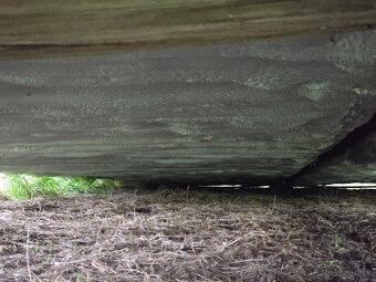 MOBILNÝ DOM  67 m2  -  Lodný kontajner  "POLOTOVAR" - 2