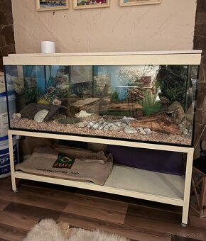 Terárium so skrinkou - 2