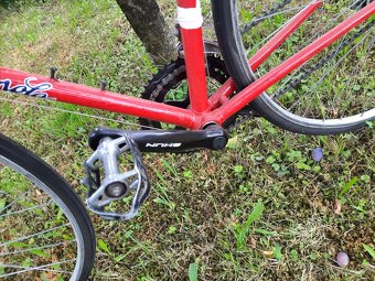 Favorit  F1 special, Campagnolo - 2