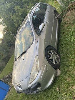 Peugeot 307sw - 2