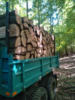 Palivové drevo - 2