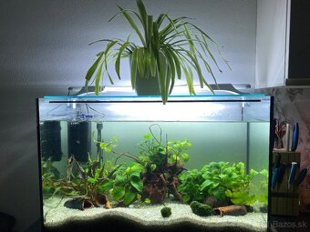 Rezervované: Akvarium 120l - 2