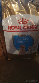 Granule Royal Canin puppy Labrador Retriever - 2