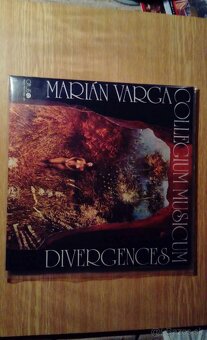 Collegium Musicum - 2