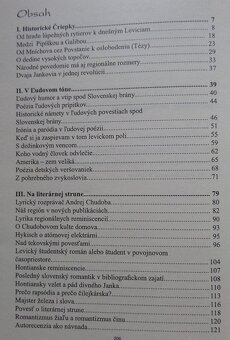 Z Levíc i spoza Levíc - Výber z publicistiky - 2