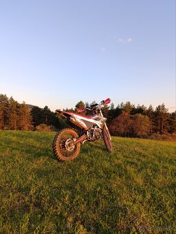 Dirt bike Apollo lizard RFZ 250 - 2
