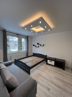 Prenájom 1-izbový byt - 2