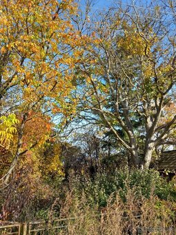 Veľký pozemok cca 3500m2 - 2