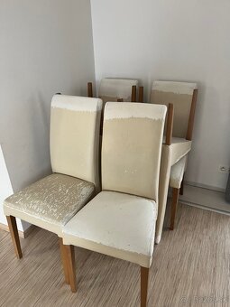Jedáleňská stolička 6x s návlekom/ uvedená cena je za 6ks - 2