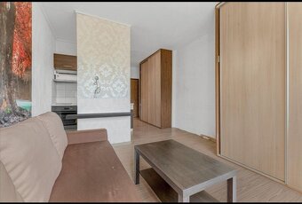 garzonka na prenajom Partizanske - 2