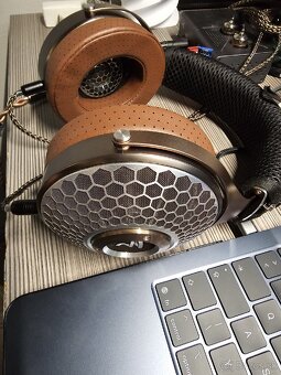 Focal Clear MG - 2