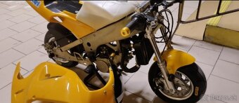 Minibike POLINI/Blata - 2