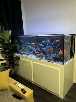 Predám Akvárium 680 L - 2