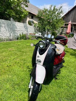 Adams moto JinLun 50ccm3 Retro - 2