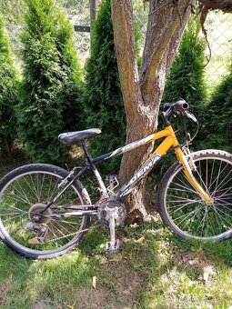 Bicykel Dema - 2