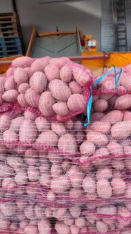 Zemiaky 0,49€-kg, cibuľa 0,85€ - 2